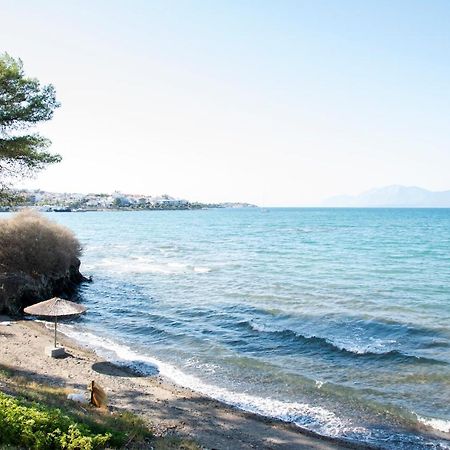 Luxury Premium Suite In Χαλκίδα Εξωτερικό φωτογραφία
